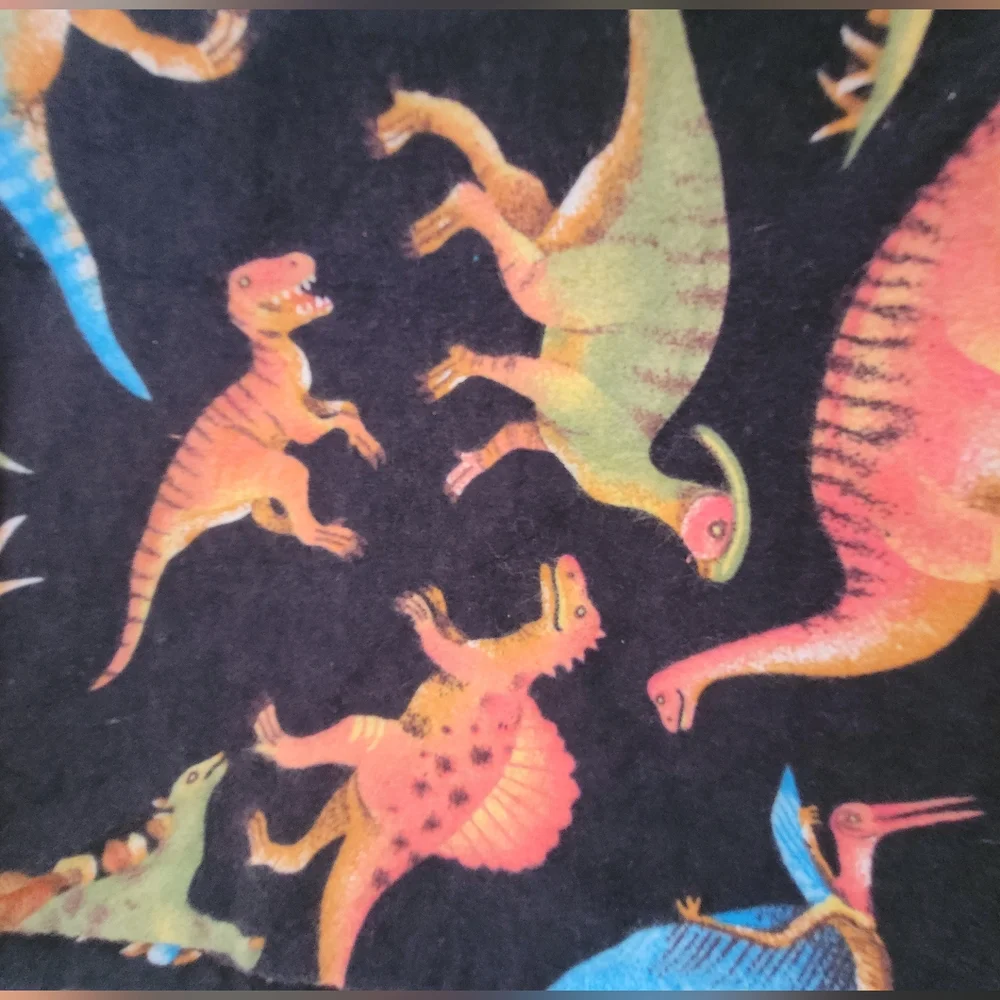 Dinosaur Winter Pillowcases set 2 pcs.Pre-loved